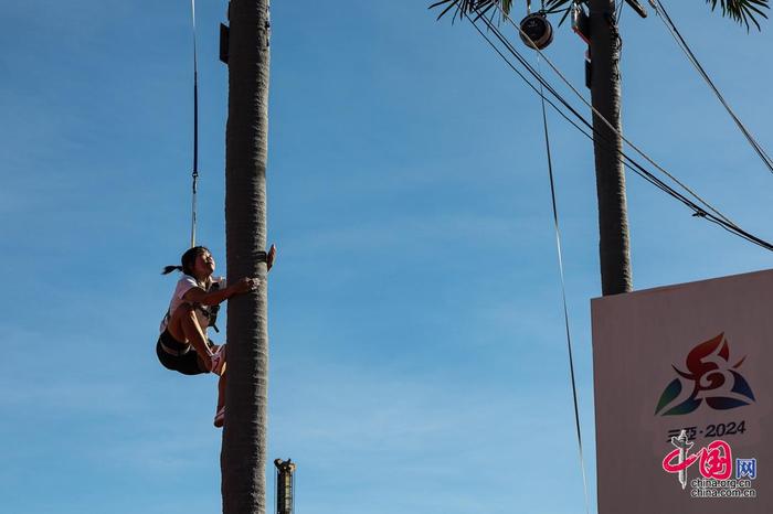 星后卫表现 星后卫表现