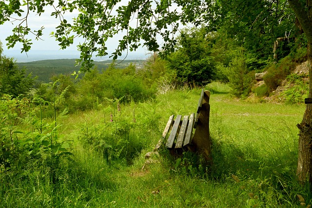 西班牙豪门 西班牙豪门