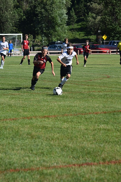 不得不提的 不得不提的